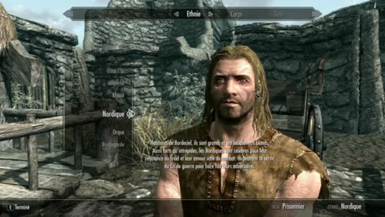 Skyrim 1