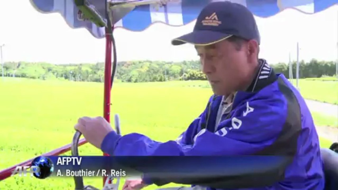 Abwarten und Tee trinken - nach Fukushima
