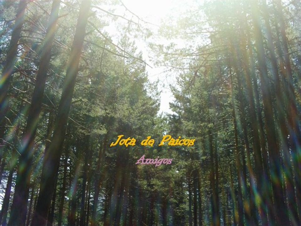 Jota de Paicos