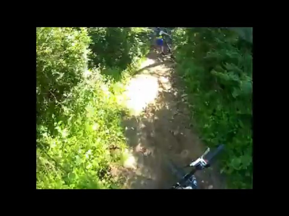 St Aubin du Plain 2013.avi