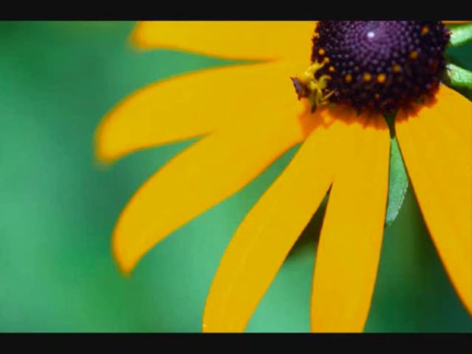 Luchie mendoza allen