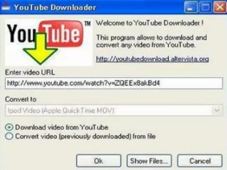 Free YouTube Downloader