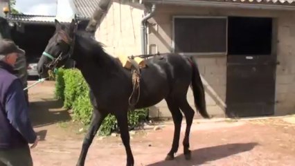 CONTEUR DE BLONDEL PRESENTE PAR MR LARDILLIER