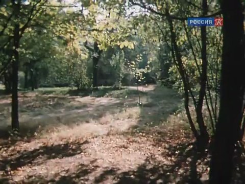 Счастливая звезда-Сказки старого волшебника