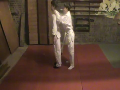 Ushiro ryote kubi shime : sortie ushiro jodan mawashi empi