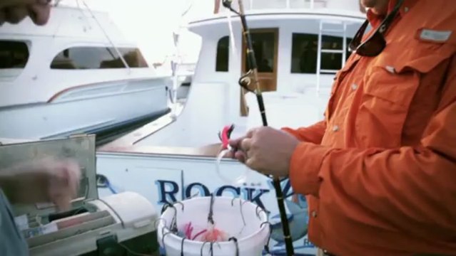 HOLT CAT Irving Heavy Equipment (972) 721-5800 Irving Heavy Equipment