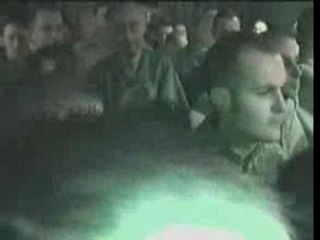 The Veros - Dans les tribunes