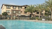 Meadow Square Apartments in Chino, CA - ForRent.com