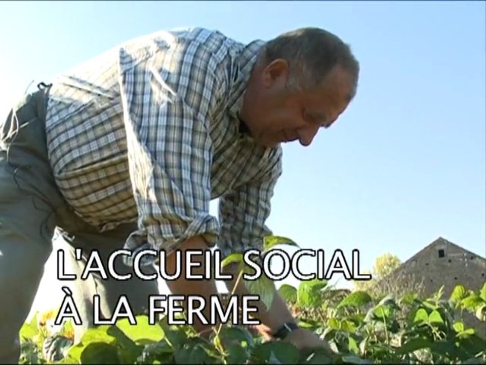 Accueil familial à la ferme en Lot et Garonne