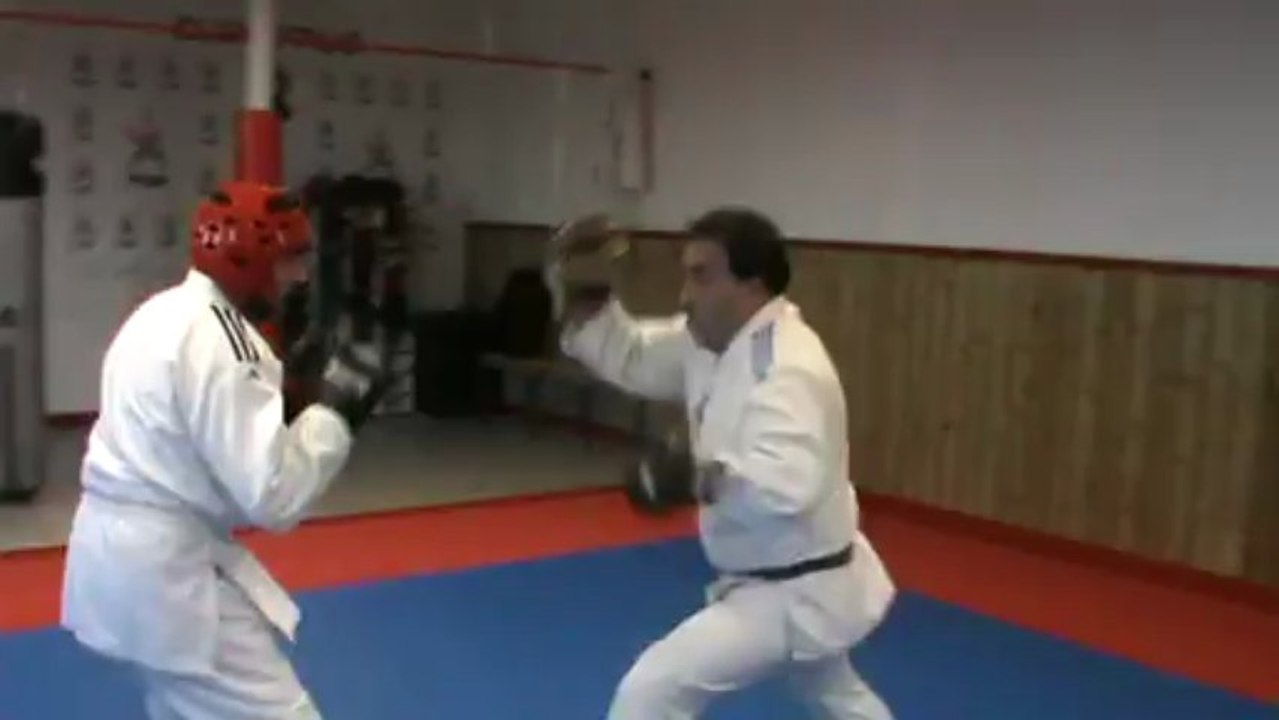 Jujitsu Rollin Philippe.