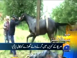 Geo Headlines-31 May 2013-1300