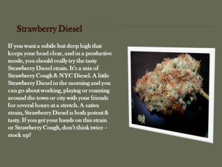 Top 5 Favorite Wake and Bake Emerge Marijuana Strains
