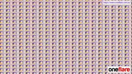 Need kitchen renovations done at home?