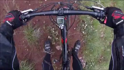 Nuces Balsac Nuces .