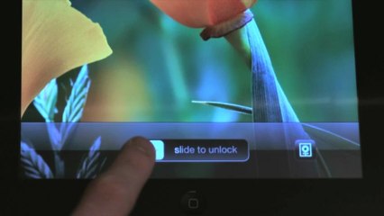 Explore A Single Subject