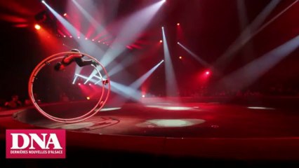 Kévin Gruss, le cirque une passion, un choix