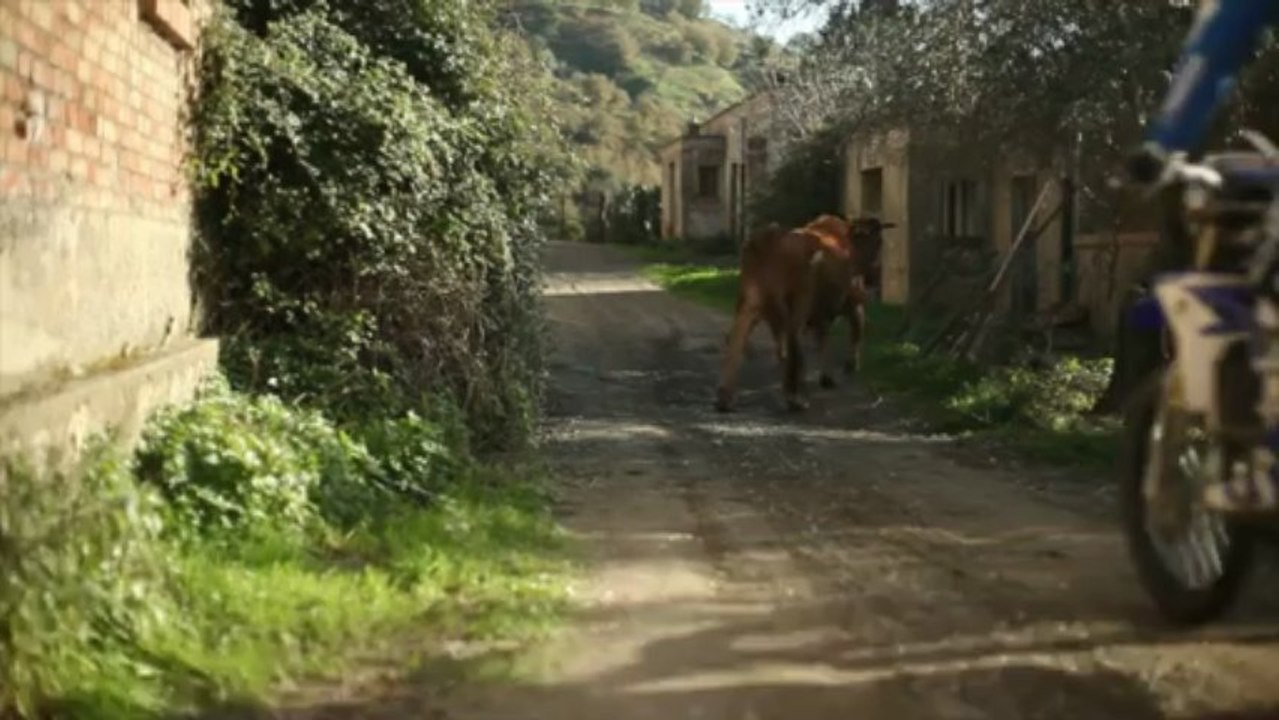 Vidéo/test : Yamaha 450 WRF 2012