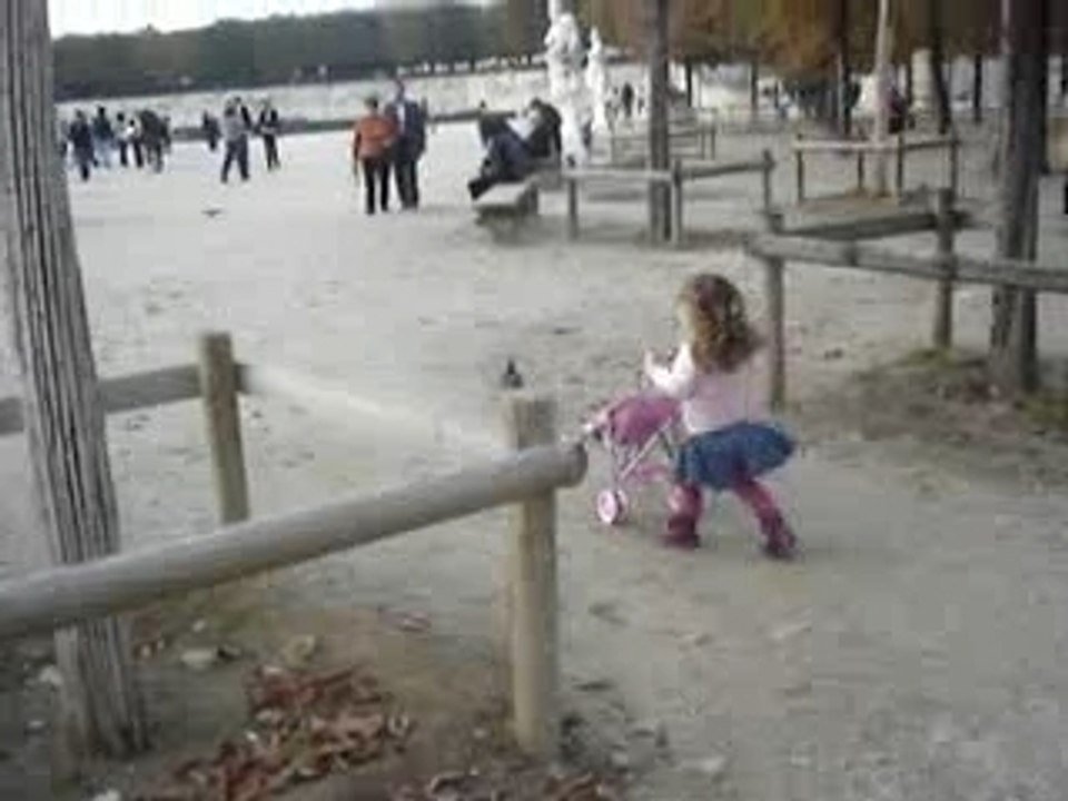 Lorette vs Pigeon