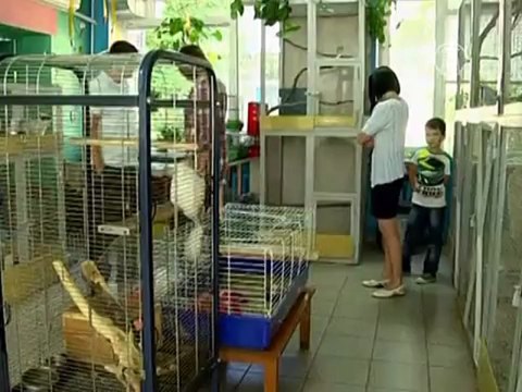 Из унитаза в украинской квартире вылезла куница