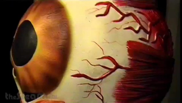Deadly Video Zombies: Part I Doc Mock's Movie Mausoleum #104