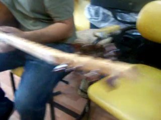 CEVİZ UZUN SAP KALİTE BAĞLAMA