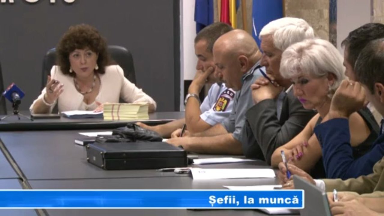 Sefii la munca