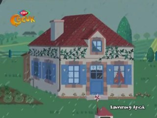 Kahverengi Ayicik Atesi Cikti