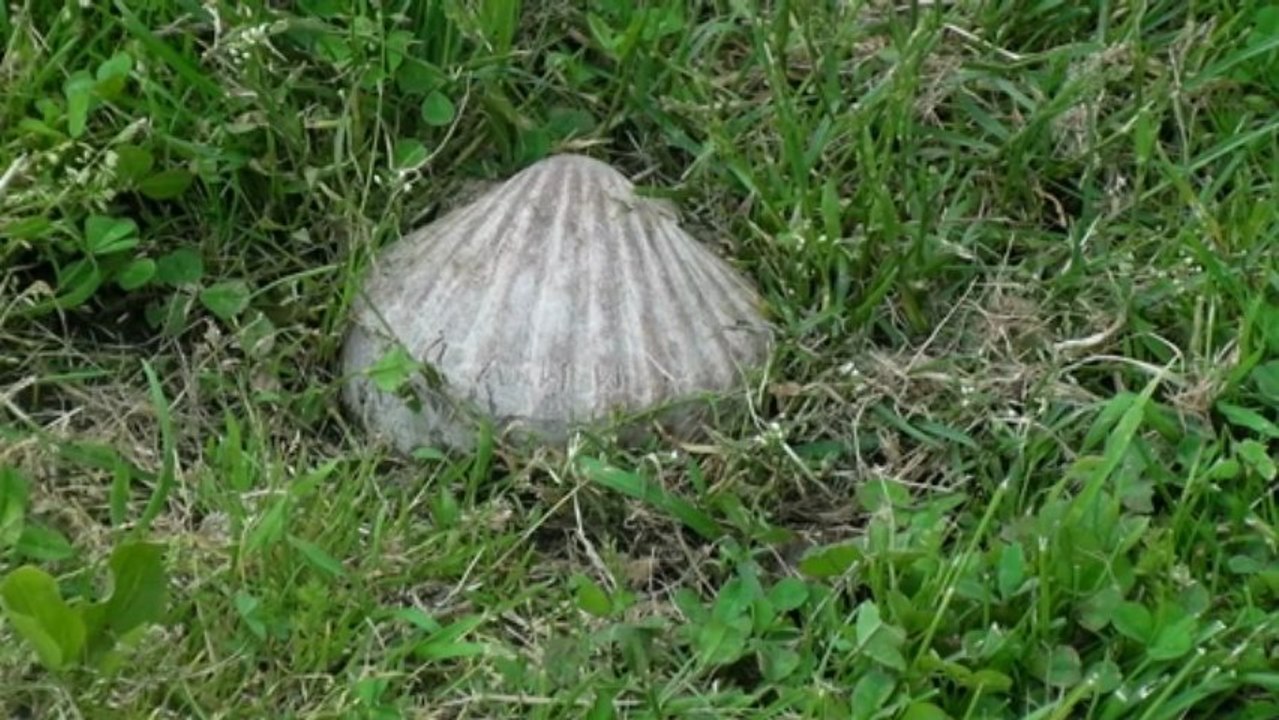 Klosterruine wörschweiler