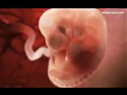 Рождение новой жизни