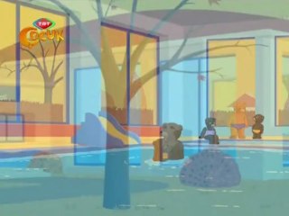 Kahverengi Ayicik Havuza Gidiyor