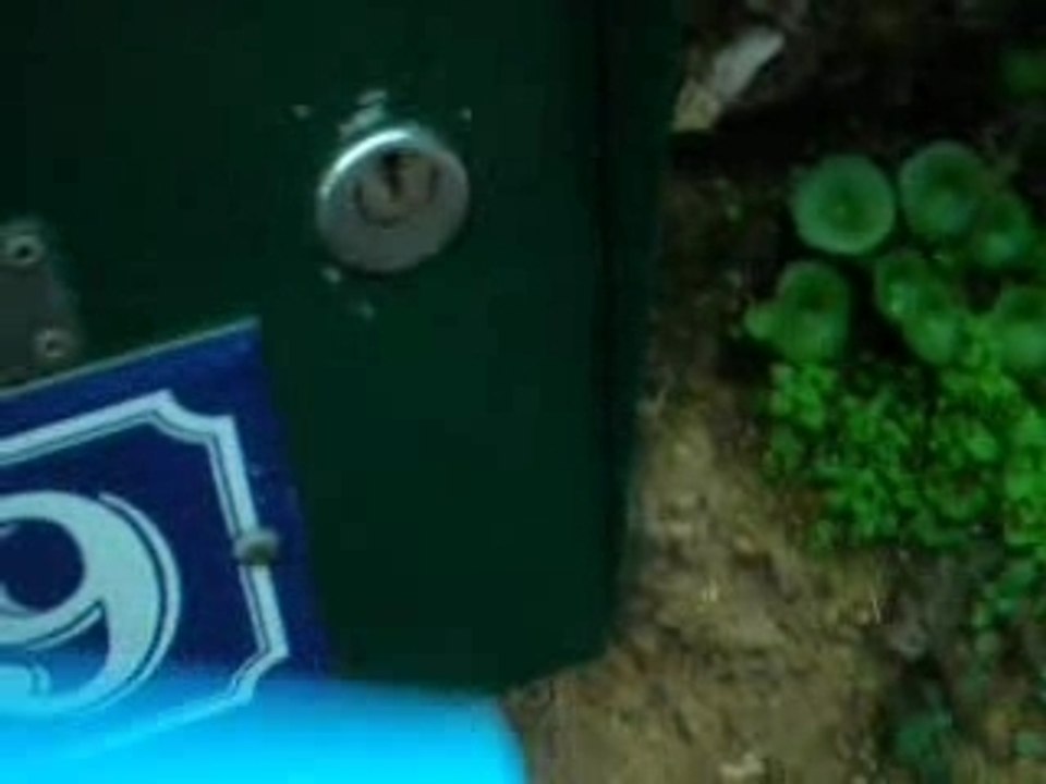 Propagonda
