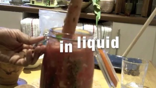 Best lacto fermented salsa ever!