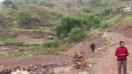 Tres Gargantas, el modelo chino