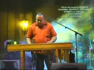 ESPECIAL TV33 FOLKLOR DANZA SALINAS, MARIMBA TROPICAL VERACRUZ (SECRETAARIA DE CULTURA), FRANCISCO JAVIER MARTÍNEZ ACOMPAÑADO DE LA SEC. JESÚS SILVA HERZOG (TEATRO DEL PUEBLO FERESA 2013)