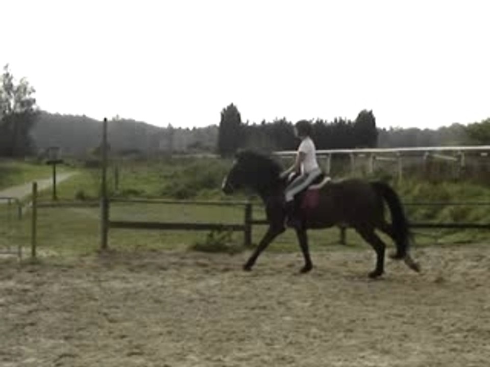 Moi et Mister - 29 octobre 06