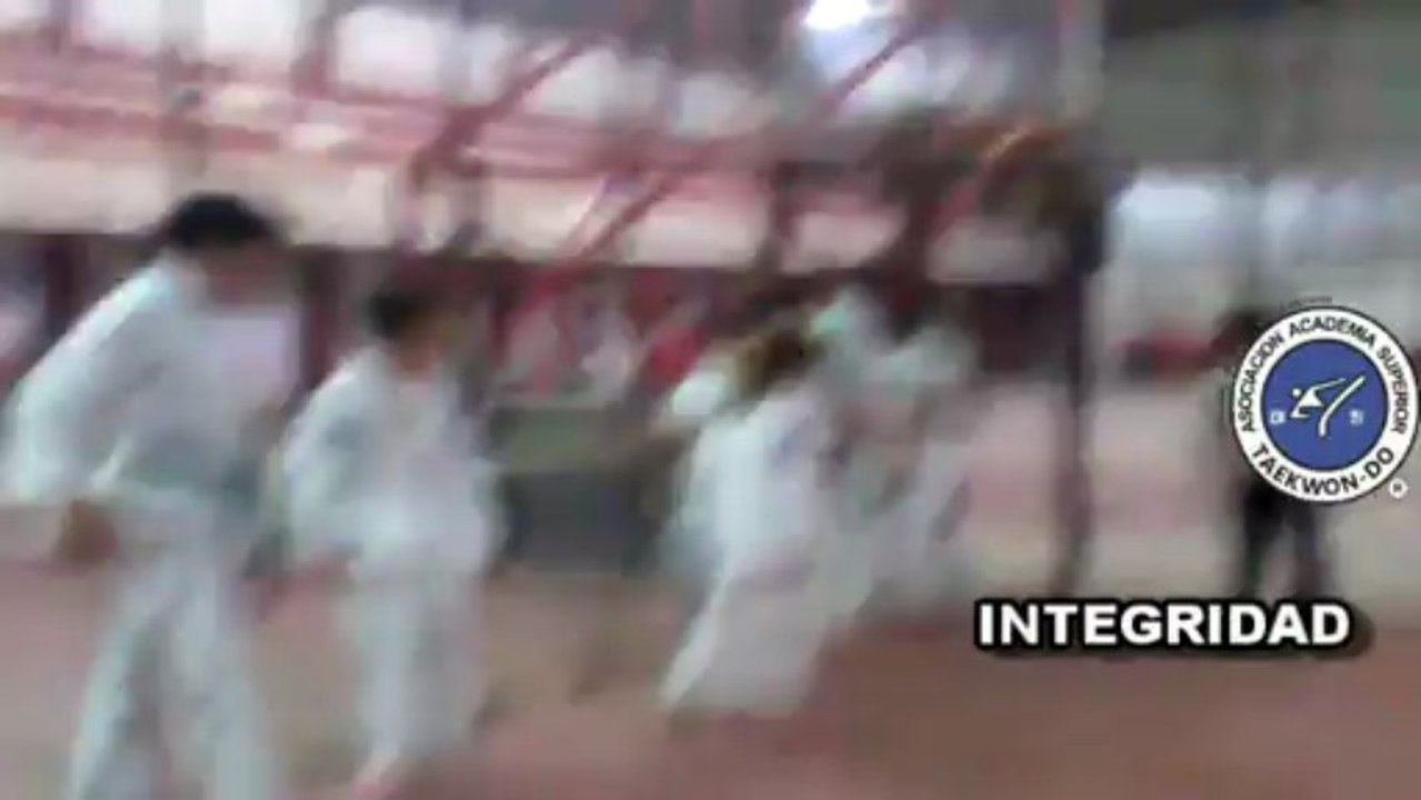 ASOCIACION ACADEMIA SUPERIOR DE TAEKWONDO FILIAL SALADAS