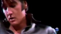 Love me tender - Elvis Presley [show]