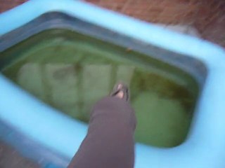 Aimeriez vous pataugez dans cette pataugeoire à 16 degrès!!