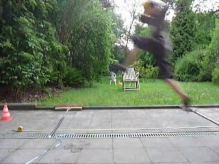 GTCSS bondit de 2m20 de long (sans le masque je fais 2m40)!!