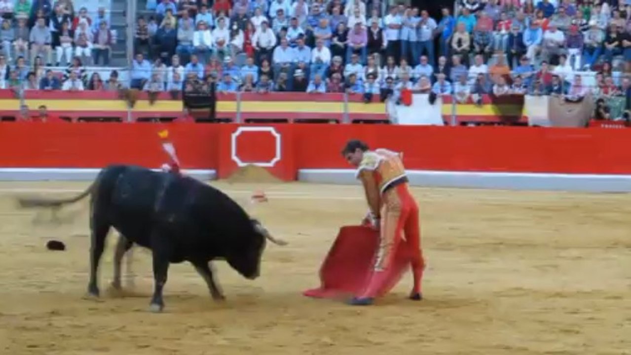 TRIUNFA EL JULI EN GRANADA