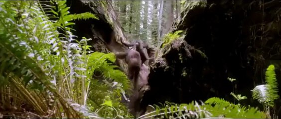 After Earth – Dopo la fine del mondo SCARICA FILM GRATIS