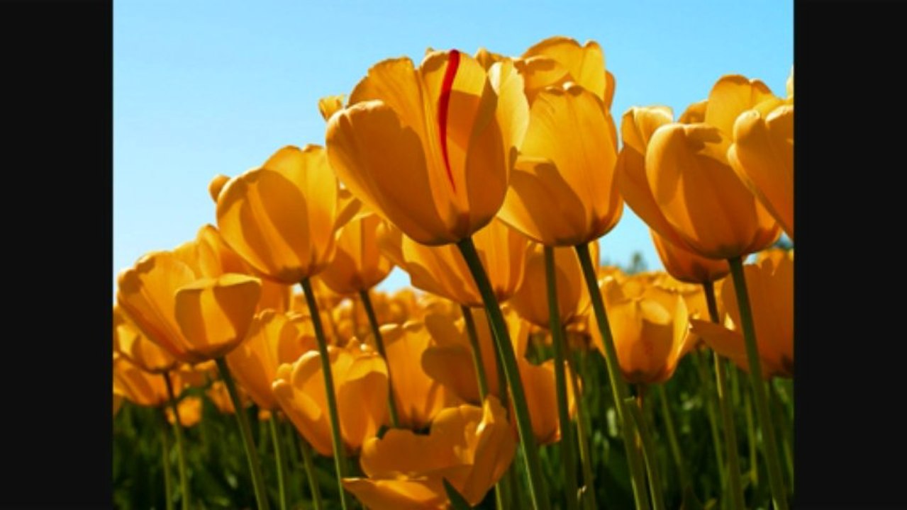 Ruki Sukhi Roti  - Nayak The Real Hero (2001) Full HD S