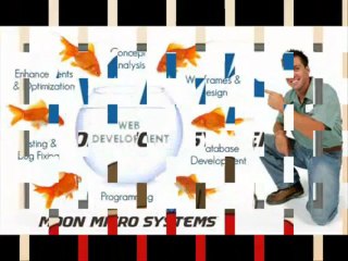 Web Design Company in India