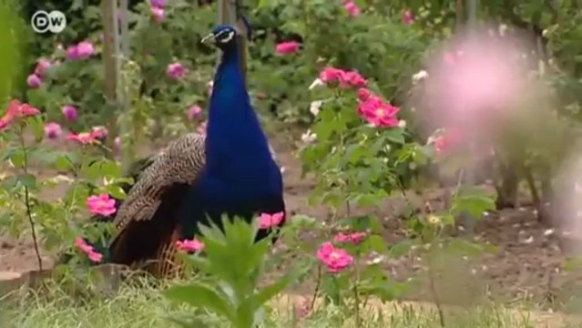 UNESCO World Heritage Sites - German Parks and Public Gardens | Discover Germany