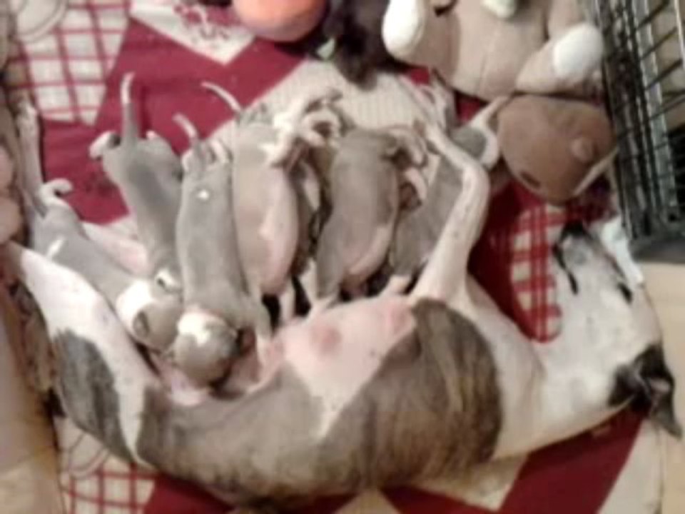 Bebes Beauty's 31 mai 2013 a 22h30