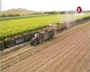 Velká Austrálie: Cukr (3/3, CZ)