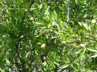 DİYARBAKIR ÇÜNGÜŞ KARAKAYAKÖYÜ