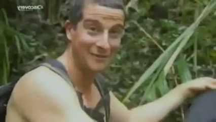 Bear Grylls Parodia !
