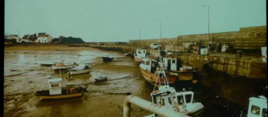 Я же ирландец, расизм - это часть нашей культуры...