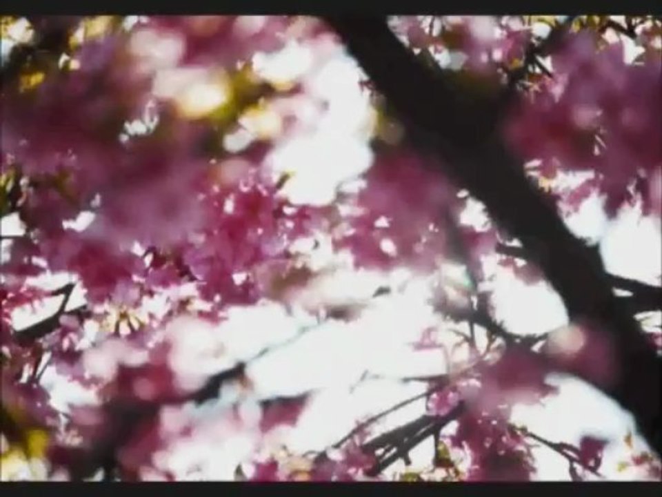 Nasheed arab, italiano, english "L'Islàm è amore" Mamdouh